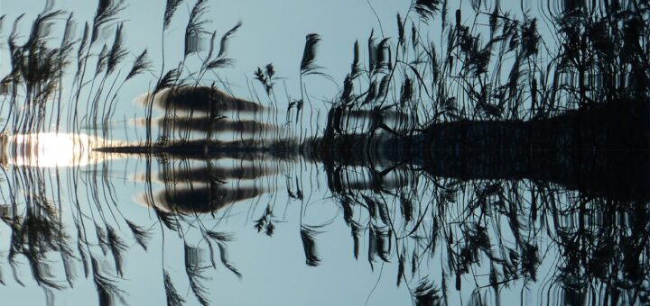 Co to jest przewodność wody