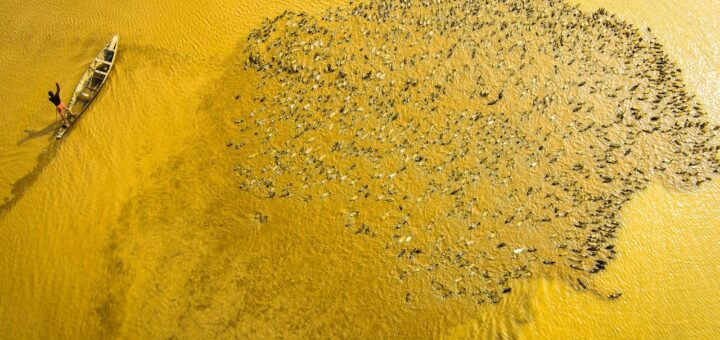 Jak usunąć mętność wody