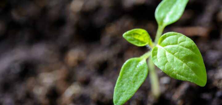 Jakie to są wody gruntowe