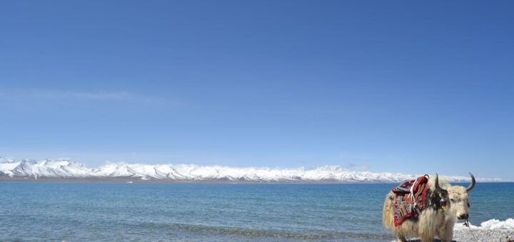 W jaki sposób powstaje woda