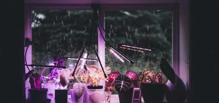 Co daje lampa UV do wody