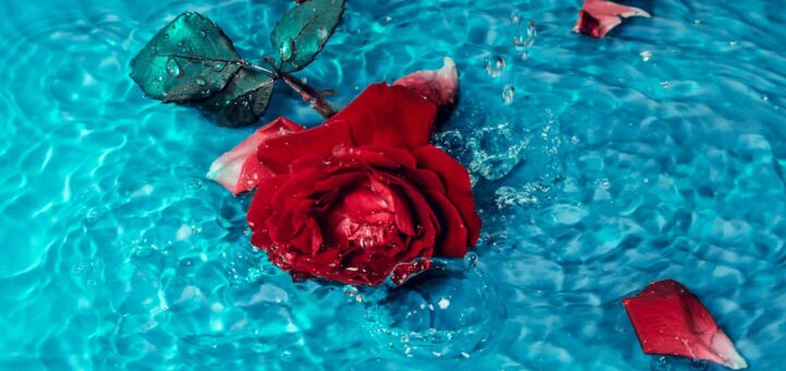 Co to jest proces ultrafiltracji