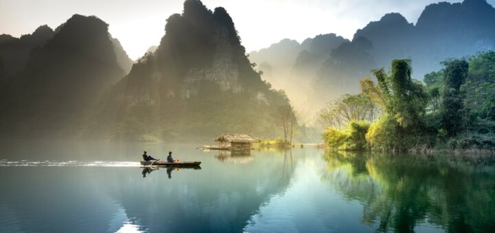 Co to są wolne rodniki w organizmie