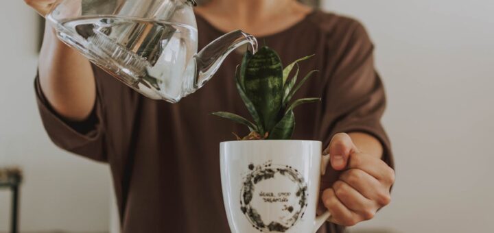 Do jakich celów wykorzystuje się wodę