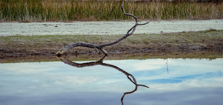 Jak samemu sprawdzić jakość wody