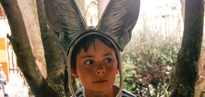 Jak w domu radzić sobie z zapaleniem ucha