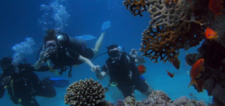 Od czego zacząć przygodę z nurkowaniem