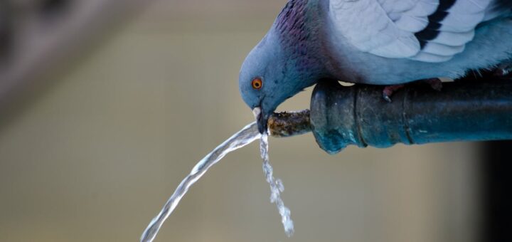 Skąd się bierze woda pitna