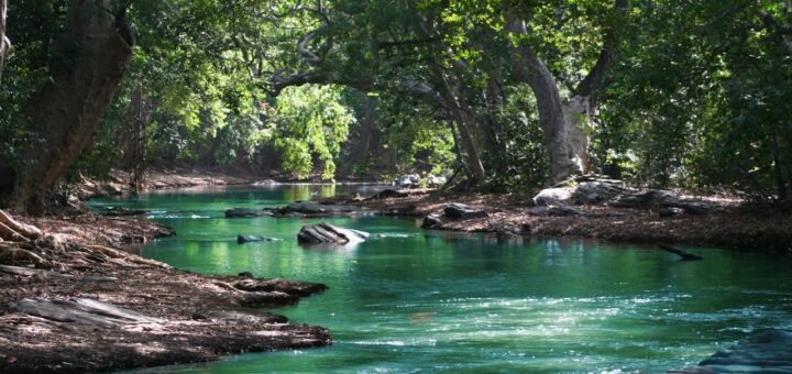 Czy można pić wodę z rzeki lub jeziora