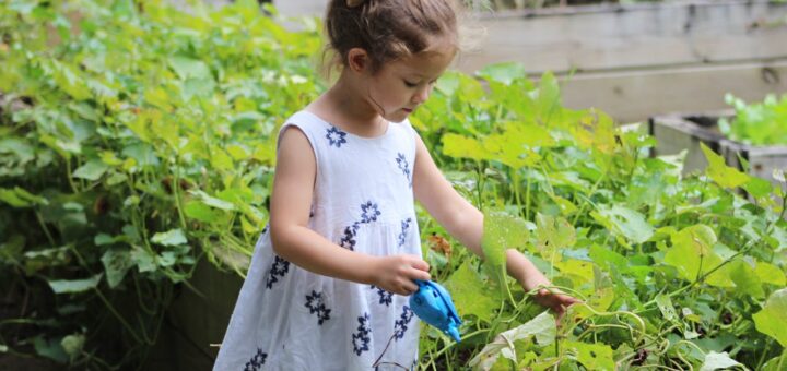 Jakie są korzyści z regularnego uprawiania ogrodnictwa