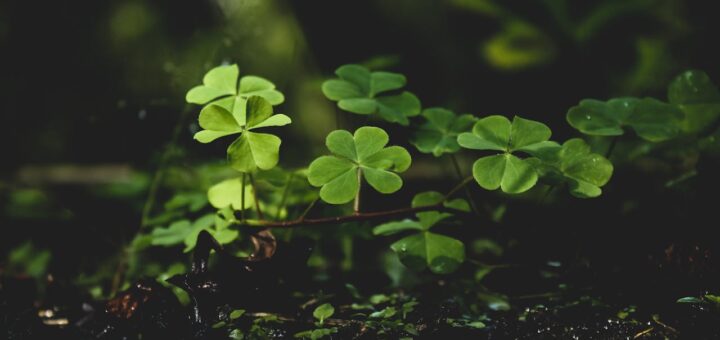 Jakie są sposoby na zwiększenie poczucia szczęścia