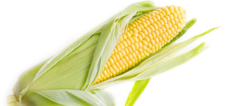 Jak gotować kukurydzę